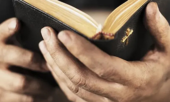 Bible Truth