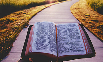 Bible citati