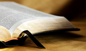 Bible new article