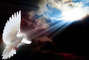 Christ love small