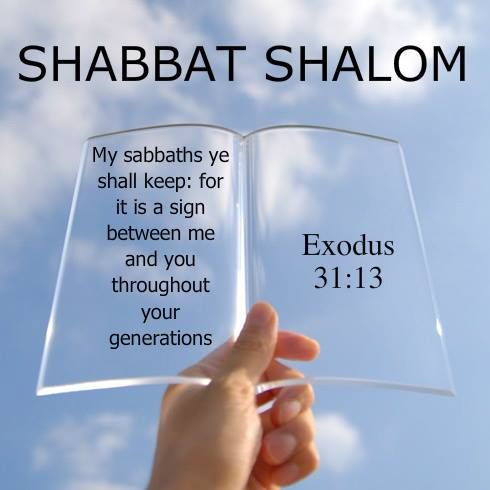 Shalom 01